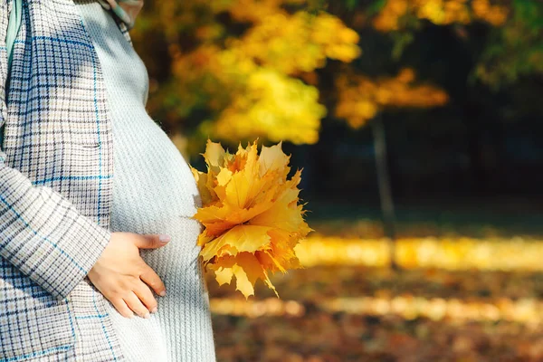 Pregnant Woman Belly Autumn Background Pregnant Woman Touching Big Belly — Foto Stock