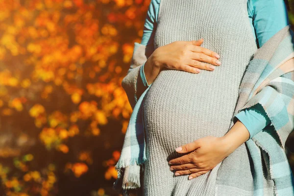 Hamileliği mutlu geçen bir kadın. Sonbahar döneminde hamile bir kadının göbeği. Koca göbeğine elleriyle dokunan hamile bir kadın. Bebek beklentisi. Hamile kadın sonbaharda dışarıda olacak..