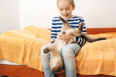 Happy kid hugging his cat. Boy relaxing on the bed with pet. Childhood, true friendship and home pet. Cute boy plays with a cat at home.