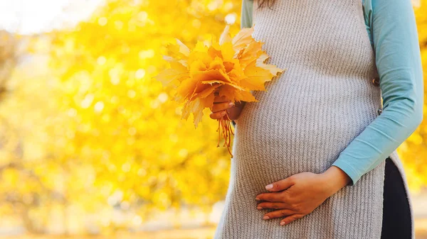 Očekávání Dětí Těhotná Žena Venku Podzim Žena Která Šťastné Těhotenství — Stock fotografie