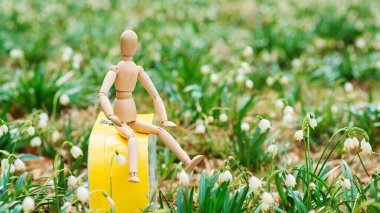 Baharın arka planında tahta kukla. Çevre ve koruma. Çevre korunuyor. Dünya Günü. Gezegen kavramını kurtar Bahar havası. Bahar doğası.