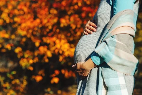 怀孕妇女用手触摸大肚子 宝宝的期待 秋天在户外怀孕的女人 怀孕期间快乐的女人 秋季背景下的孕妇腹部 — 图库照片