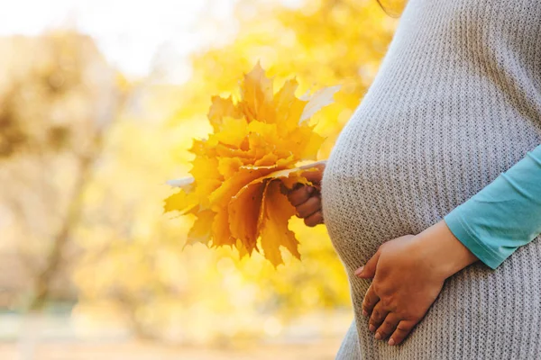 怀孕期间快乐的女人 怀孕妇女的腹部在秋天的背景 怀孕妇女用手触摸大肚子 宝宝的期待 秋季在户外怀孕的妇女 — 图库照片