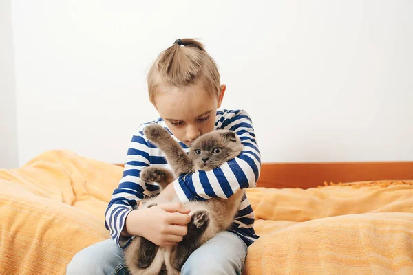 귀여운 소년은 집에서 고양이와 고양이를 껴안은 침대에서 긴장을 집에서 기르는 — 스톡 사진