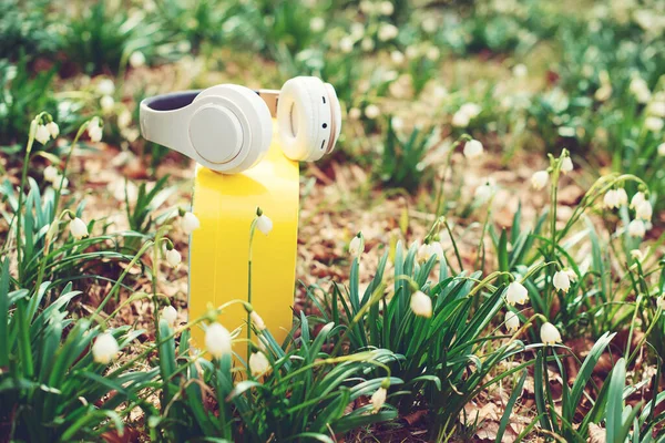 Spring Flowers Headphones Wireless Headphones Music Lifestyle Technology Concept White — Stock Photo, Image