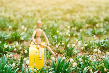 Dünya Günü. Gezegen kavramını kurtar Baharın arka planında tahta kukla. Çevre ve koruma. Çevre korunuyor. Bahar havası. Bahar doğası.