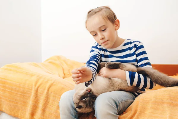 Cute boy plays with a cat at home. Happy kid hugging his cat. Boy relaxing on the bed with pet. Childhood, true friendship and home pet.