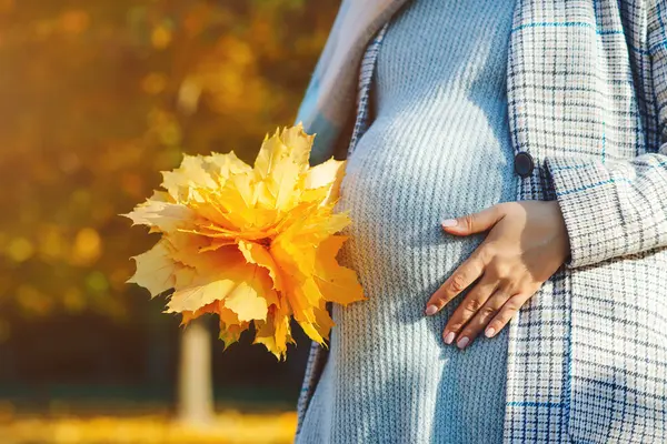 Живот Беременной Женщины Осеннем Фоне Беременная Женщина Трогающая Руками Большой — стоковое фото