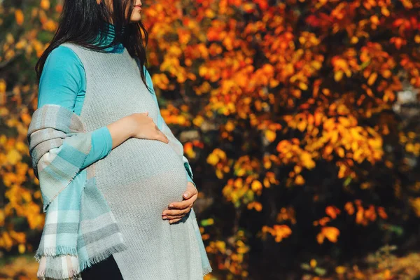 Kvinna Som Har Lycklig Graviditet Tid Gravid Kvinnas Mage Över — Stockfoto
