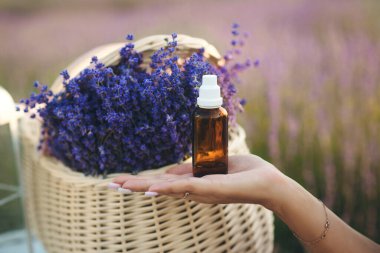 Çiçek tarlası arka planında şişede lavanta yağı var. Provence lavanta çiftliği. Güzel lavanta çiçekleriyle dolu bir sepet..