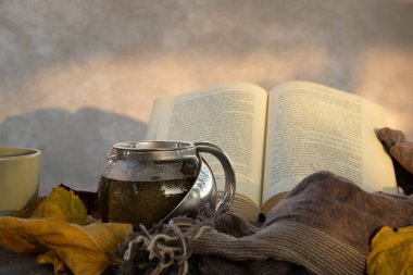 Arka planda, çay fincanı ve bej tonlarında çay fincanı ve eşarp ile açık kitap, sonbahar ya da kış ayarı sessiz okuma alanı, metin için oda