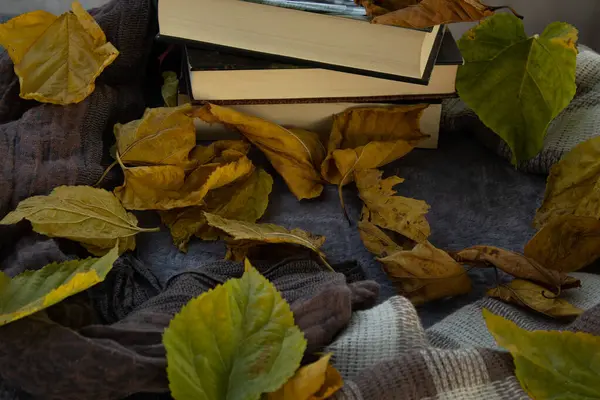 pile of books and leaves in shades of brown and green, in cozy reading environment. Environment like autumn, winter, with space for text.