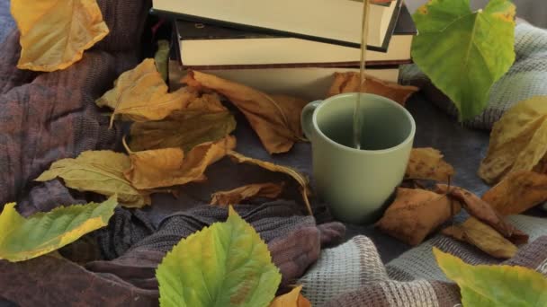 Gorąca Herbata Wlana Kubka Przytulnym Jesiennym Tle Brązowymi Zielonymi Liśćmi — Wideo stockowe