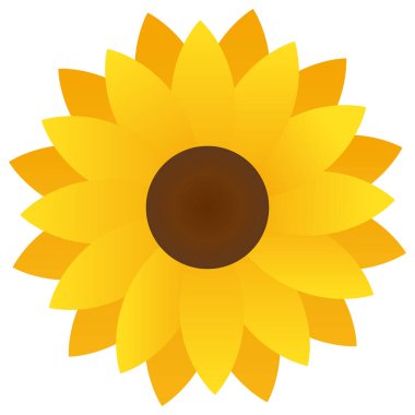 Ayçiçeklerinin renkli vektör çizimi