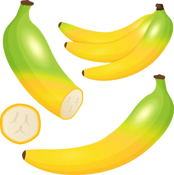 Πολύχρωμη Διανυσματική Απεικόνιση Θέμα Μπανάνας — Διανυσματικό Αρχείο