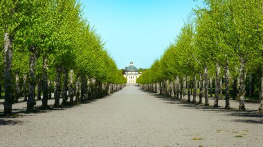 Stockholm 'deki Drottningholm Sarayı Heykel Parkı' nda güneşli bir gün.
