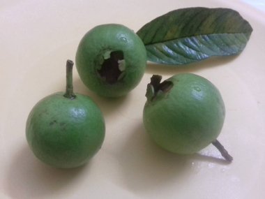 Sarı tabakta üç yeşil guava, lezzetli ve sağlıklı meyveler, yeşil yaprak