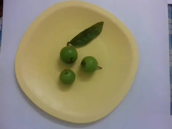 Sarı tabakta üç yeşil guava, lezzetli ve sağlıklı meyveler, yeşil yaprak