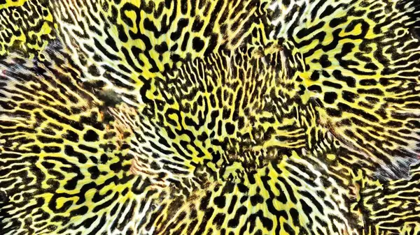 Leopar derisi izli kusursuz desen, bu çarpıcı leopar derisi görüntüsüyle doğanın en zarif desenlerinin şaşaalı cazibesine kapıl. Yüksek çözünürlüklü detaylar, yumuşak kadife