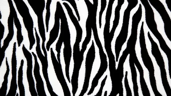 Vahşi zebra derisinin siyah ve beyaz çizgili dokusu, vahşi hayvanlar, modaya ve egzotik modaya en uygun giysiler, giysiler, giysiler.