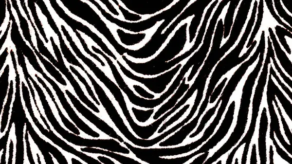 Siyah beyaz çizgili zebra derisi desen gibi.