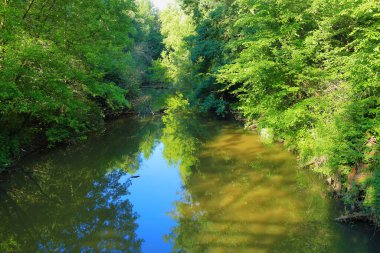 Nehir yazın ormanda akıyor. Debica bölgesi, Subcarpathian Voyvoda. Polonya