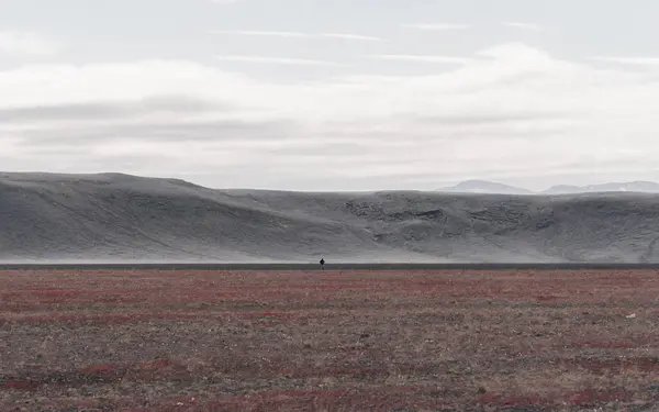 Постапокалиптический Снимок Человека Стоящего Пустыне Красными Растениями Земле Горами Которые — стоковое фото