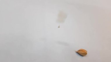 Beyaz arka planda Hindistan Sarımsağı Tepeden Düşüyor