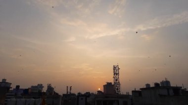 Hindistan 'da Günbatımında Uçan Uçurtma