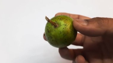 Man Hand beyaz arka planda küçük yeşil Hint Guava 'sını gösteriyor