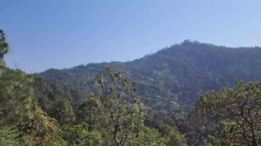 Manali orman hendeği dağ vadisi derin hendek Hindistan