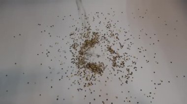 Tohumların arka planında bir sürü tohum ve tohum, sağlıklı beslenme, doğal beslenme, doğal gıda ve vitamin konsepti