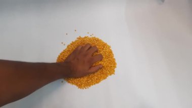 Bir demet pirinç tutarken