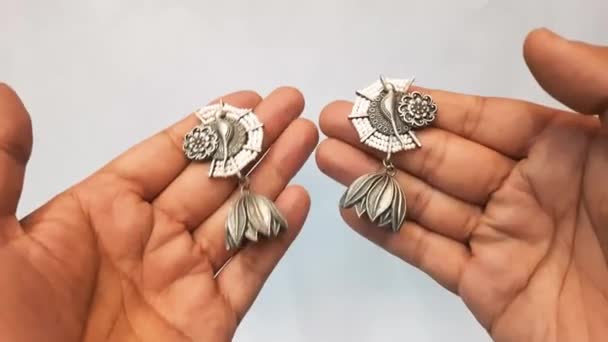 Closeup Shot Hand Holding Silver Necklace — Stock Video