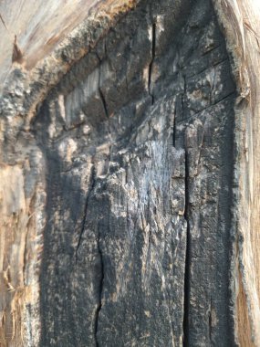 Eski koyu ahşap duvar dokusu