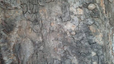 Soyut desenli ahşap arkaplan dokusu.