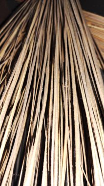 tarladaki kuru otlar