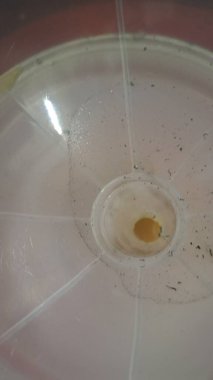 Bir bardak suya yaklaş.