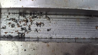 Paslı ve metalli metal levha