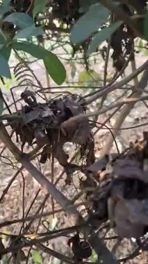 Renkli çiçeklerle soyut arkaplan