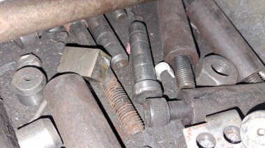 Çeşit çeşit fındık ve fındık var.