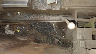 Şehirdeki terk edilmiş eski bina.