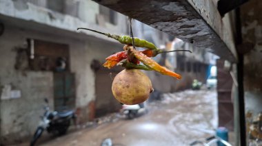 Lezzetli bir yiyeceğe yakın.