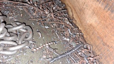 Bir sürü farklı boyutta paslı metal kapı.