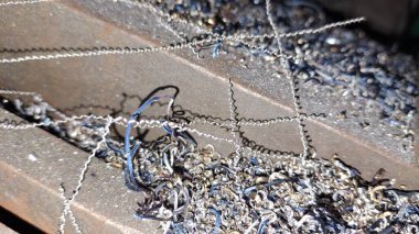 Bahçede metal zincir