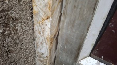 beyaz ve kahverengiye yakın