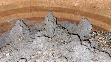 Toprak küçük bir toprak çömleği..