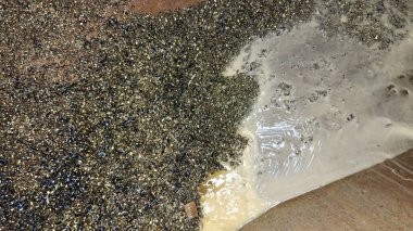 Güzel, kahverengi ve siyah bir suyun yakın çekimi.