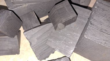 bir ağacın siyah beyaz fotoğrafı