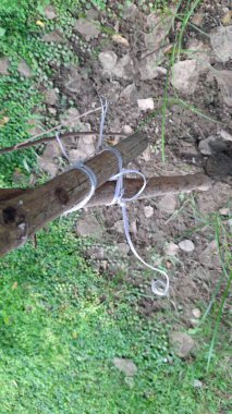 Eski paslı metal çitler